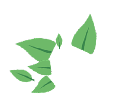 leaves graphic positioned top left